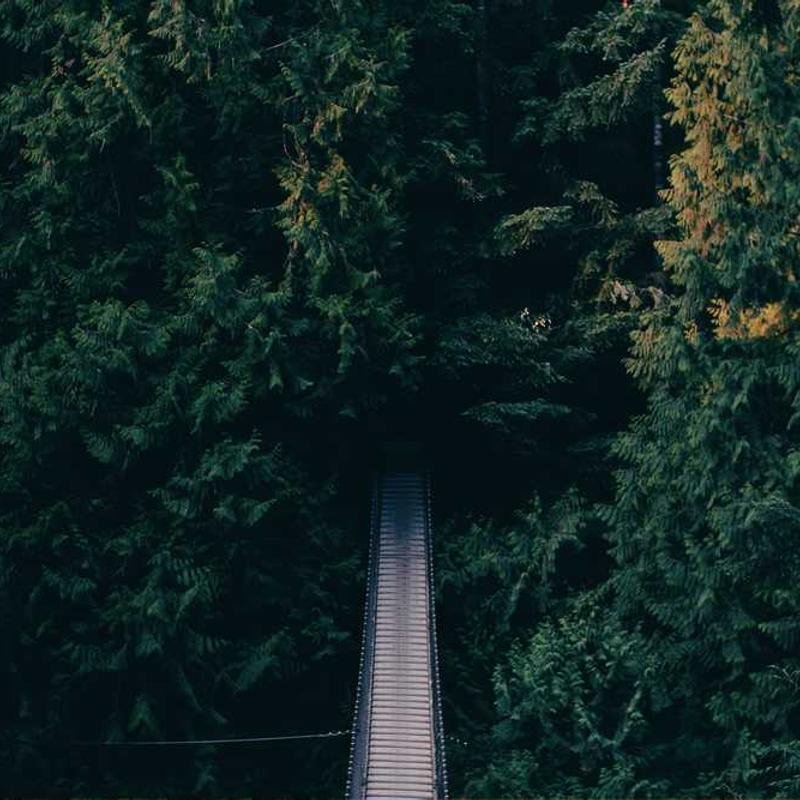 Imagen de placeholder - Imagen 2