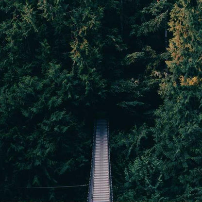 Imagen de placeholder - Imagen 2