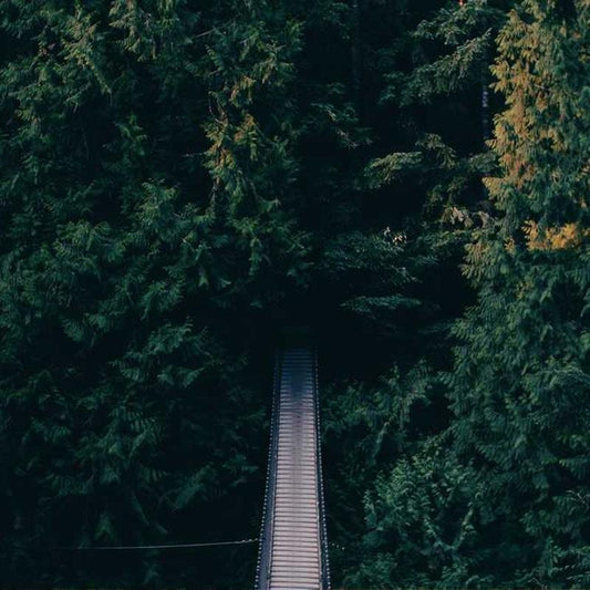 Imagen de placeholder - Imagen 2