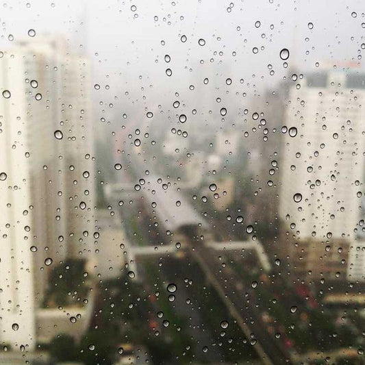 Imagen de placeholder - Imagen 2