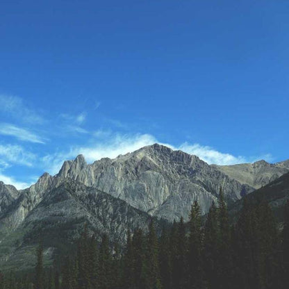 Imagen de placeholder - Imagen 2