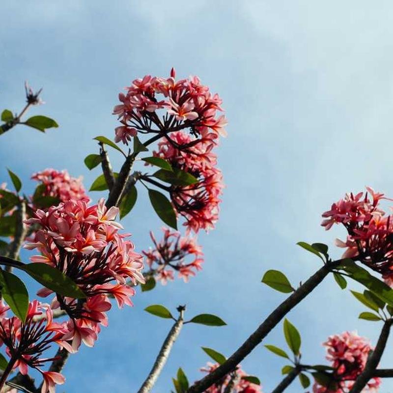 Imagen de placeholder - Imagen 1