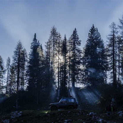 Imagen de placeholder - Imagen 2