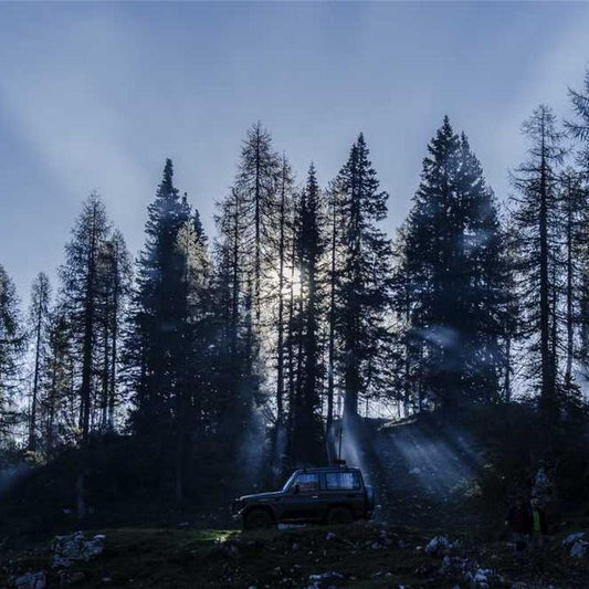 Imagen de placeholder - Imagen 2